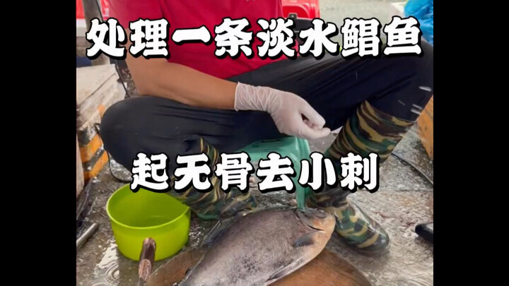 Mengolah seekor ikan buntal air tawar, menghilangkan tulang dan duri-duri kecil. #ikanbuntal