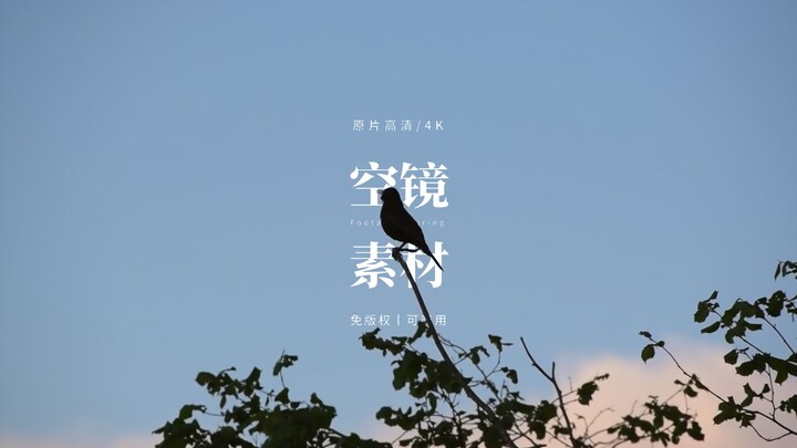 【免版权空镜】“White in Blue”