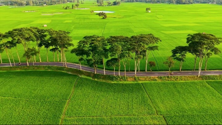 Nature Bangladeh