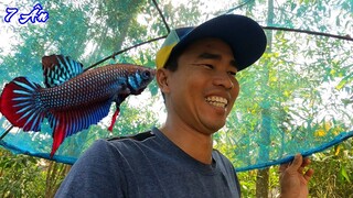 Nước Rút Nhiều Thử Đi Xúc Lia Thia - 7 Ân