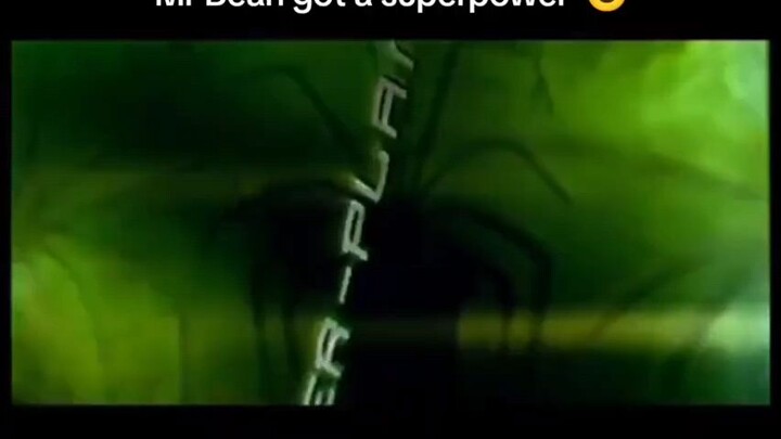 Mr. Bean the spider plant man