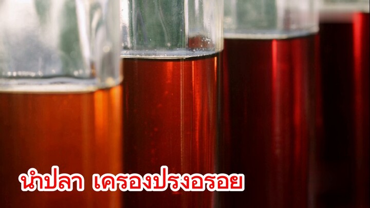 น้ำปลา เครื่องปรุงอร่อย