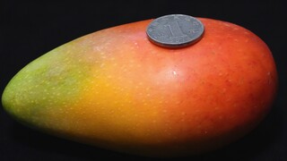 Peeling mangoes is actually so easy—no messy hands, no juice running down! This new method is truly 