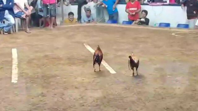 Mga kasabong Anong masasabi nyo sa Laban nila bali pinabitaw lng sakin yan