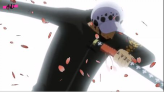 Trafalgar Law thức tỉnh trái ác quỷ  trái ác quỷ ope ope