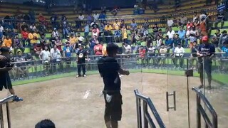 wpc elims samparak