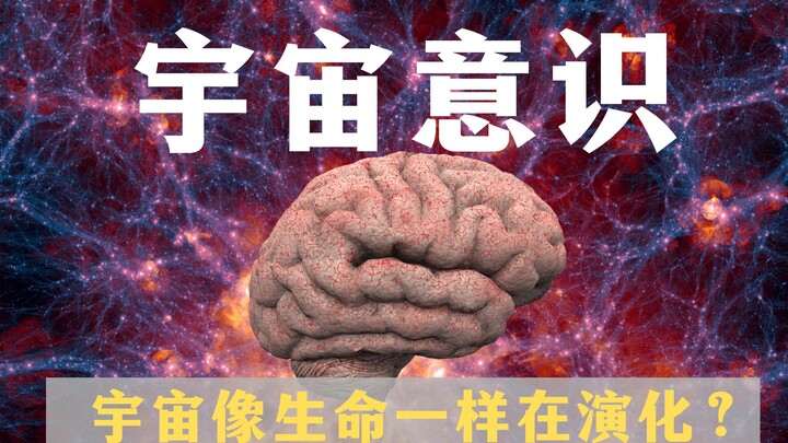 Is the universe a conscious living entity?