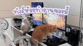 ทัวร์ห้องทำงานของมี้ + พิกัดของต่างๆ