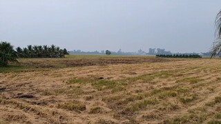 Hôm Nay 3 Bác Cháu Thả Lươn Giống Và Món Lươn Hấp Xả Thơm Bưng Cho Buổi Cơm