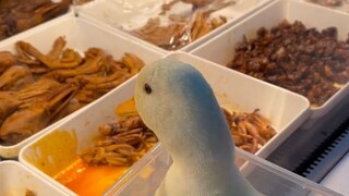 ความหิวฉับพลัน