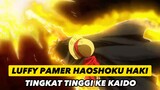 LUFFY PAMER HAOSHOKU TINGKAT TINGGI KE KAIDO!!! #onepiece #luffyvskaido #anime