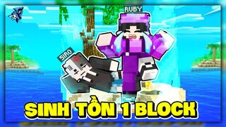 Siro Và Noob Ruby Thử Thách Sinh Tồn 1 Block Nhưng Thế Giới Bị Giới Hạn Trong Minecraft