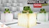 Bundles In 1.19 + Frog Info! | Minecraft Now February Recap + News