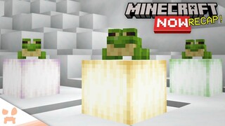 Bundles In 1.19 + Frog Info! | Minecraft Now February Recap + News