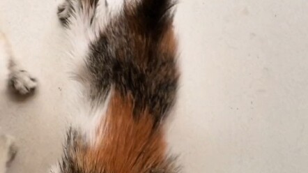 I have rhinitis—after feeding her, I’m sneezing, my nose is running, and it’s so itchy! Next time I 