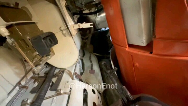 浣熊遇到俄罗斯空降战车/Him to get acquainted with the Russian airborne combat vehicle