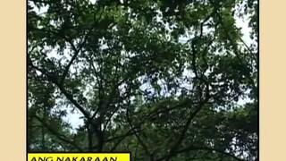 Mulawin-Full Episode 21