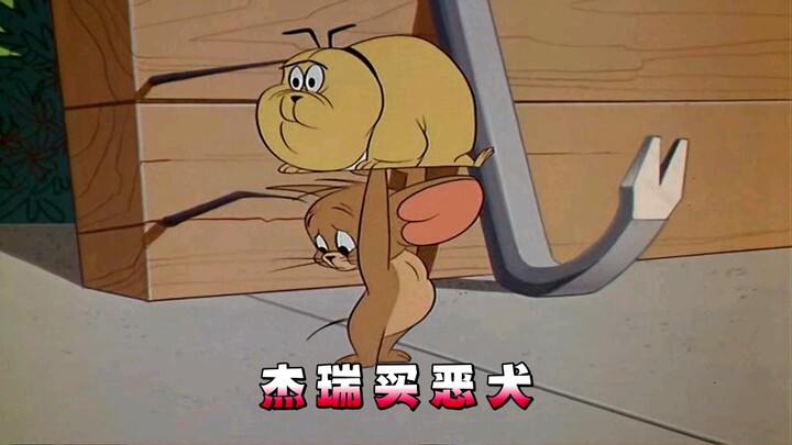 To get the upper hand on Tom, Jerry bought a ferocious dog on Pinduoduo, and it promptly bit Tom, la