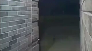 renyah banget tampilannya apakah kalo temen kalian iseng akan kalian ginikan?