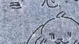 小姐姐雪地作画，冻的直吸鼻子