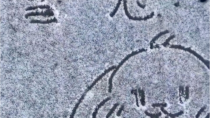 الأخت الصغيرة ترسم على الثلج، وتُرتعش من البرودة فتشم أنفها باستمرار.