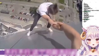 Japanese lambs are scared of watching the high-altitude parkour collection