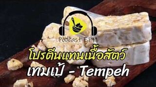 โปรตีนแทนเนื้อสัตว์-เทมเป้ Tempeh | saladcreator Podcast | EP11