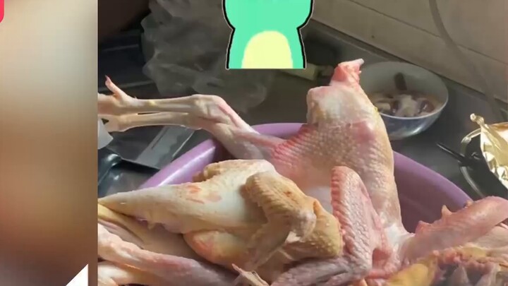 A woman bought 4 chicks online as pets for her daughter. After keeping them for 5 months, she became