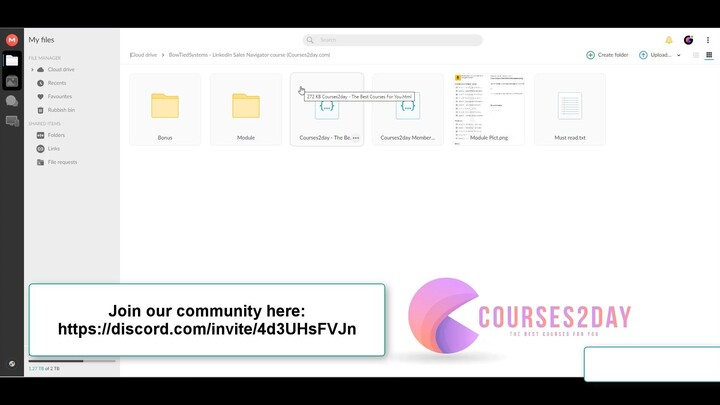 BowTiedSystems - LinkedIn Sales Navigator course Download