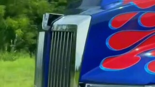 si optimum pride🤣🤣