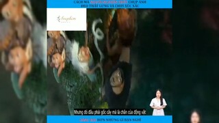 Review phim: gia đình nhà croods p4 #phimhaymoingay