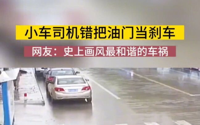 The driver panicked and accidentally stepped on the gas instead of the brake!