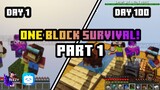 Surviving 100 Days in One Block! Part 1