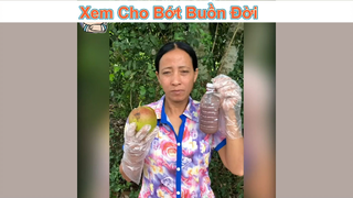 Cooc xê chấm mắm tôm thối vaiz chưởng các cháu ạ #funny #haihuoc