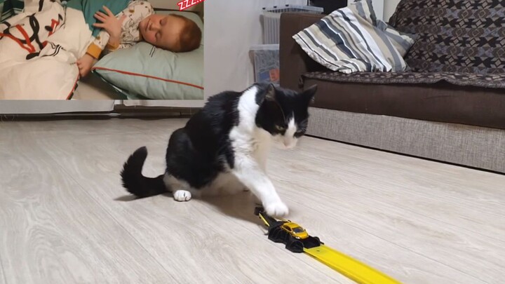 The Cat Playing with the Baby's Toy after He Fell Asleep