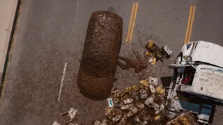 被成千上万只杀人蜂困在车里是一种什么体验