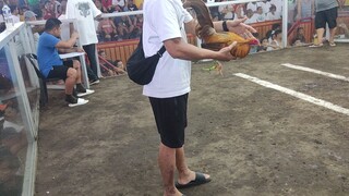 second fight Wala sugat