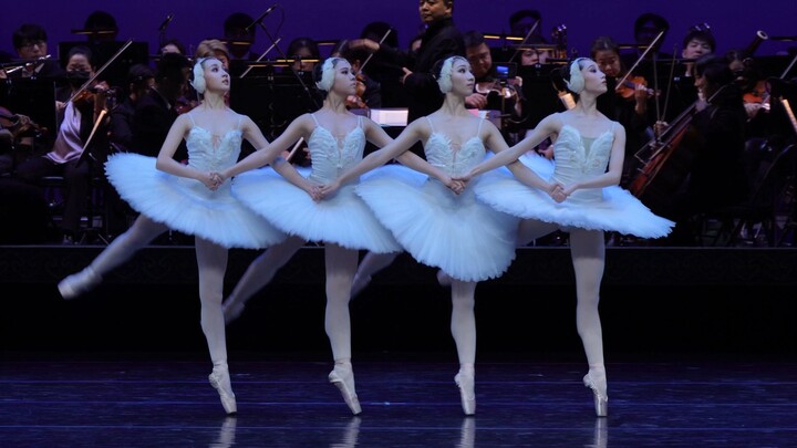 Vũ điệu Bốn Thiên Nga, bốn bóng hình đồng điệu, bước chân nhịp nhàng như những bản sao nhân bản. Nhạ