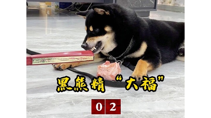 The Principal Cools All Defiers