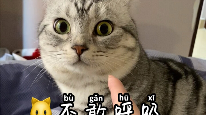 女孩子生气的时候，你连呼吸都是错的！