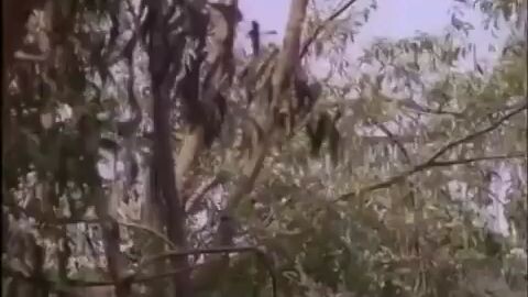 Warkop DKI Manusia 6.000.000 Dollar