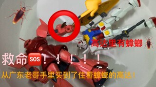 救命！从广东老哥手里买到了住着蟑螂的高达！