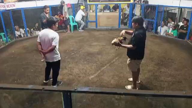 2 cock Super Ulutan 2nd Fight (Red) Champion @VCA