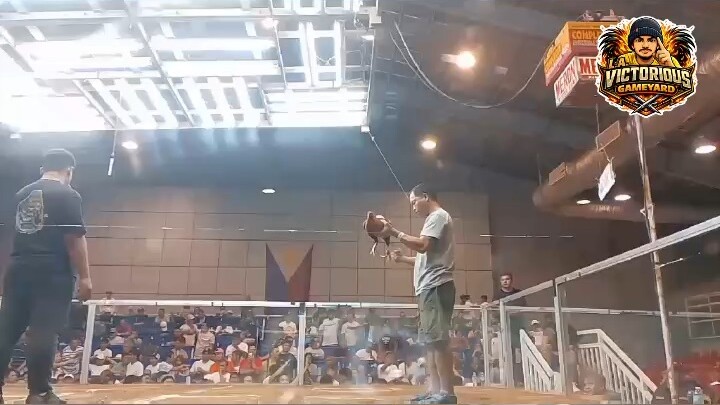 F#57 Firebird angel vs Sta. Rosa Coliseum (NCA FEB. 17, 2026)