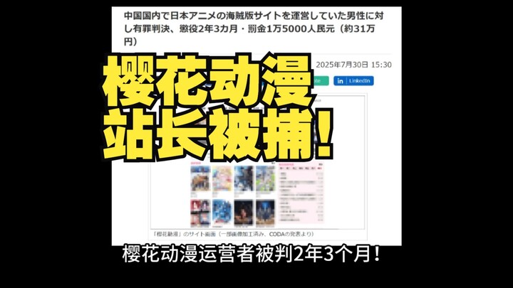 大型纪录片《樱花动漫运营者被判2年3个月》