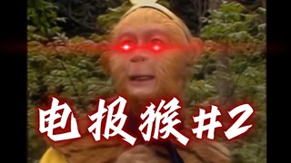 【4k】HD Telegraph Monkey #2 (Mute)