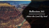Reflection 341: Adore the Lord My Soul