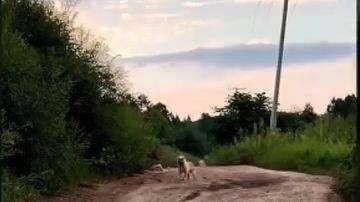 #funny ถึงกับชะงักเอาไงดีว่ะเนี่ยะ