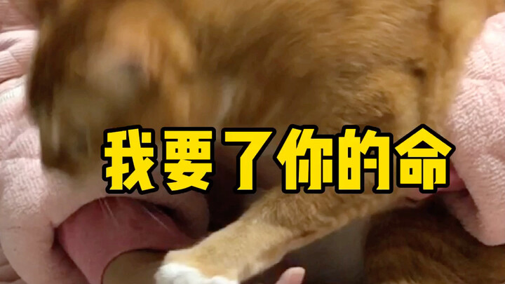 [Dundun] What’s a little pain like this...?