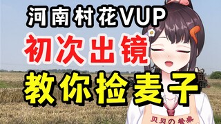 美食Vup如何在农村捡麦子？